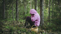 Дві дівчинки пішли з табору і заблукали у лісі: на Рівненщині провели пошукову операцію