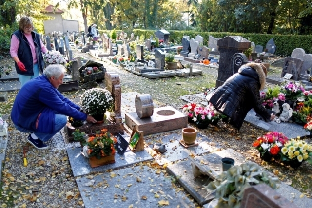 Кладовище собак у Парижі