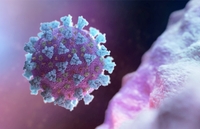 Майже 200 випадків коронавірусу на Рівненщині. Серед інфікованих медпрацівники, вагітні та чиновники