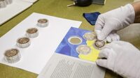 Монету 2 гривні продають за 8 тисяч: як вона виглядає (ФОТО)