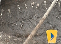 19 скелетів з колишньої катівні на Рівненщині – перепоховають (ФОТО/ВІДЕО)