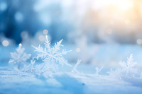 Що не можна викидати з дому 27 грудня, аби не накликати злидні: народні прикмети