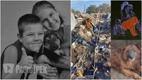 «Крим тепер нічий»: очі собаки, який оплакував сім'ю на руїнах, стали символом болю (ФОТО/ВІДЕО)