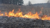 На Рівненщині при спалюванні сухої трави загинув чоловік 