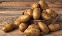 Дорога картопля спричинила дефіцит у дитсадках Рівного