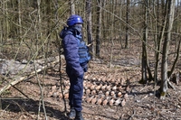 Рятувальники  на Рівненщині знайшли ліс, «нашпигований» вибухівкою (ФОТО) 