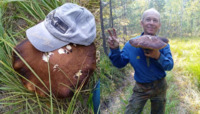 «Кінг Гриб»: у лісі на Рівненщині знайшли гриба, який не вмістився у відро (ФОТО)