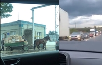 «Нова пошта» пересіла на коней? Колапс у Дубні через ремонт понтонного мосту (ФОТО/ВІДЕО)