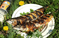 Ідеальна скумбрія за 10 хвилин. Два варіанти приготування смачної рибки (РЕЦЕПТ)