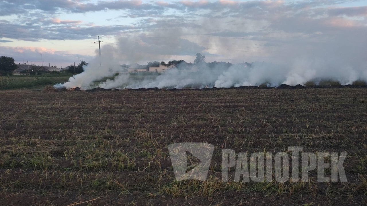 Фото оприлюднила Державна екологічна інспекція Поліського округу у Фейсбуці. 