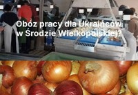 Скандал між роботодавцем та українськими працівниками у Польщі. ПОДРОБИЦІ