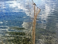 На Рівненщині рибоохорона затримала чоловіків із 26-метровою сіткою