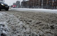 Синоптик Діденко попередила про «каші з ожеледиці, калюж, грудок льоду та снігу»