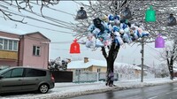Рівняни прикрасили сміттям дерево до Нового року? (ФОТО) 