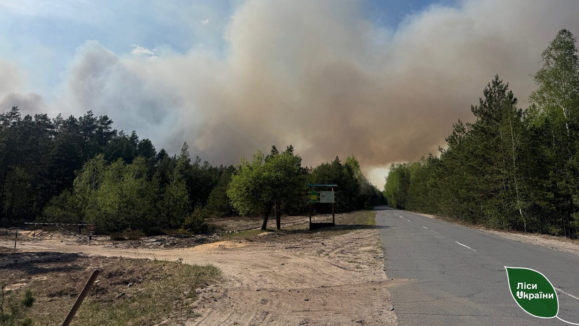 Масштабну лісову пожежу на Рівненщині локалізували: Вогонь дістався заповідника