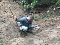 Останки чоловіка, якого шукали 4 роки, відкопали у лісопосадці (ФОТО/ВІДЕО)