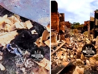 Спалені тіла тварин і зруйновані долі: опублікували відео наслідків пожеж на Харківщині (ВІДЕО) 
