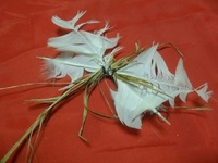 5 небезпечних предметів, які можуть підкинути в дім недоброзичливці: народні прикмети