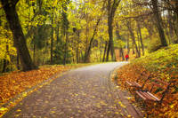 У жовтні будуть мороз і різкі зміни температур: попередження від Укргідрометцентру