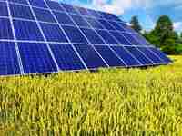 Власники сонячних панелей масово позбуваються їх через збитки