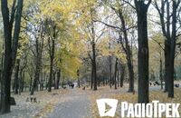 «У парку імені Шевченка - дивне масове всихання дерев», - рівнянин