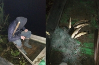 За 7 кг риби мешканець Рівненщини заплатить майже 2 тисячі грн