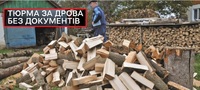 Тюрма за дрова: в Україні почнуть штрафувати за зберігання дров – без документів? (ФОТО/ВІДЕО)