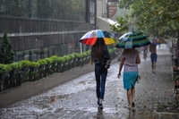 Дощі посиляться: синоптик повідомила, в яких регіонах України чекати опадів

