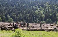 Зсув ґрунту в Грузії: Відомо про 26 загиблих   