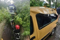 Сильний вітер на Рівненщині: повалені дерева та побиті авто (ФОТО)