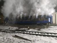 На пожежі у вагоні поїзда загинули двоє людей