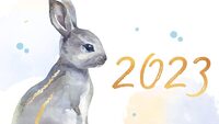 Кому не пощастить в рік Чорного Кролика: жіночі імена