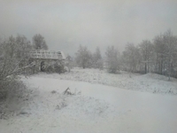 На Рівненщині випав сніг
