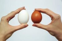 Які яйця смачніші – коричневі чи білі: ви будете здивовані