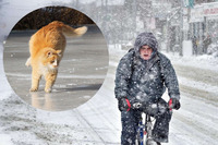 Ожеледицю і мокрий сніг прогнозують в Україні (СИНОПТИЧНА КАРТА)