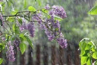 Що робили 7 травня, щоб прогнати хвороби: народні прикмети