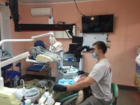 Доки на руках спав котик, воякам лікували зуби: рівненські стоматологи побували на передовій (ФОТО)