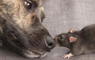 Фото ілюстративне, з відкритих джерел