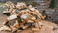 Де можна законно заготовляти дрова на зиму, щоб не отримати штраф?