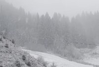 Потужний циклон Ulli рухається зі швидкістю 35 км/год: Яких наслідків чекати