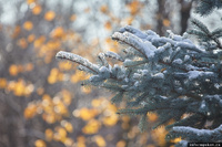 Українців здивує зима 2024 року: Яку погоду прогнозують