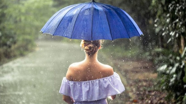 Фото ілюстративне, з відкритих джерел