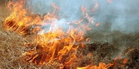 В Рівному невідомі підпалили суху траву й залишили без нагляду (ФОТО)