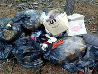 У ліс поблизу Рівненської атомки вивезли сміття (ФОТО)