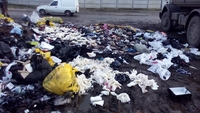 Звалище з рештками тварин у Рівному допекло сміттярам з приватної фірми (ФОТО)
