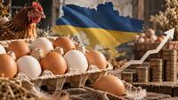 В Україні змінилися ціни на яйця: скільки коштує десяток