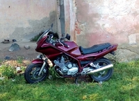 На Рівненщині у чоловіка вкрали два мотоцикли: один розібрали на деталі, другий – просто кинули (ФОТО)