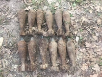 На Рівненщині працівник лісу знайшов 12 мінометних мін (ФОТО)
