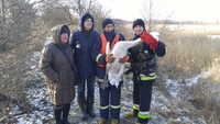 На Рівненщині відбулася рятувальна операція «Лебідь» (ФОТО, ВІДЕО)