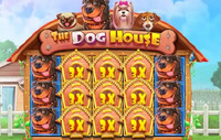 The Dog House: огляд популярного слоту від Pragmatic Play 